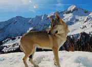 07 Sulle nevi delle Baite Fontanini (1861 m)